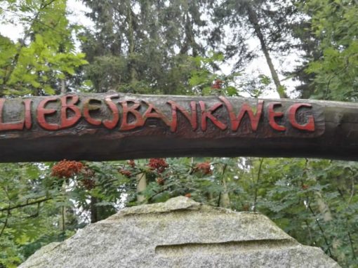Liebesbankweg in Hahnenklee