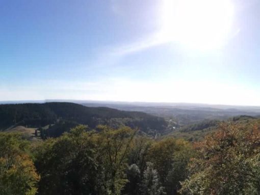 Rundwanderweg Großer Burgberg – Baumwipfelpfad in Bad Harzburg