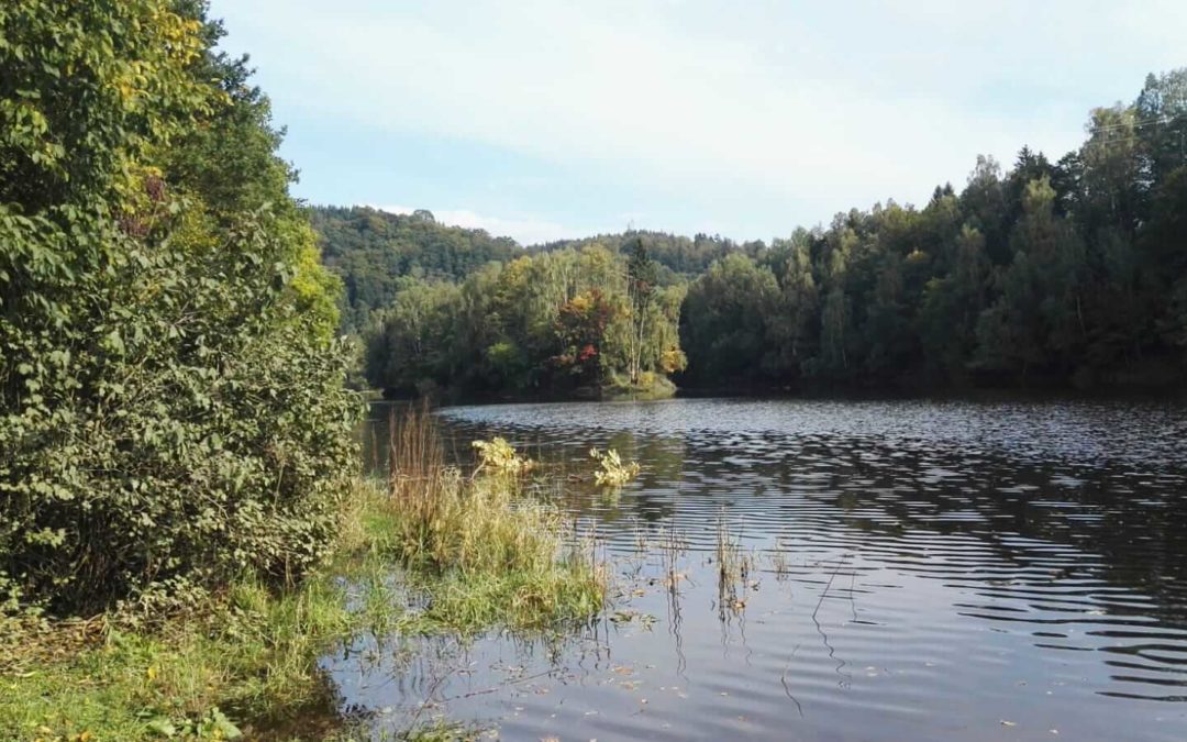 Rundweg um den Oderteich nahe St.- Andreasberg