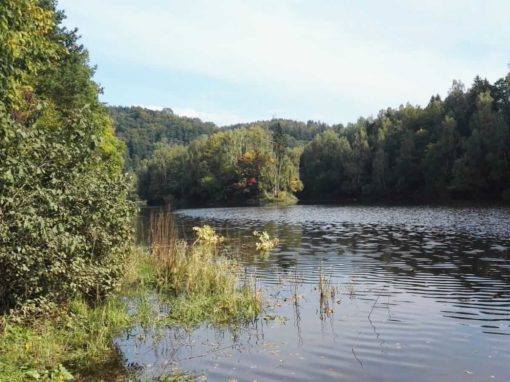 Rundweg um den Oderteich nahe St.- Andreasberg
